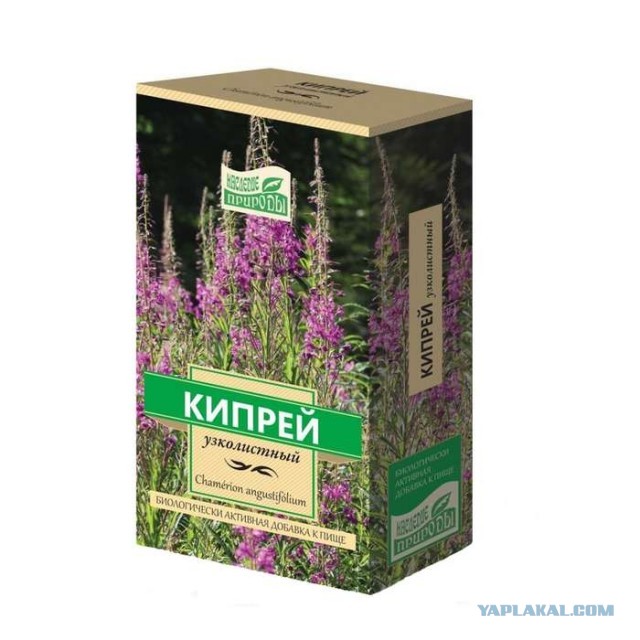 Настало твоё время! Кипрей-Тонколистный, он же Иван-Чай