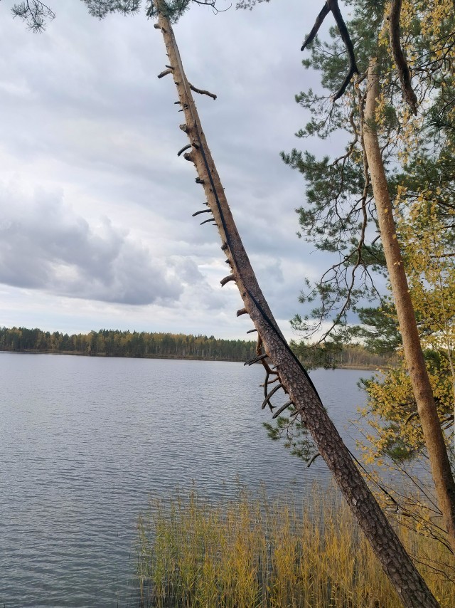 Осень на озёрах 2