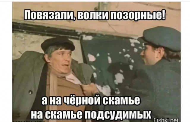 Разбор всех 8 видов волков: Создаём целостное понимание о том, что такое волк