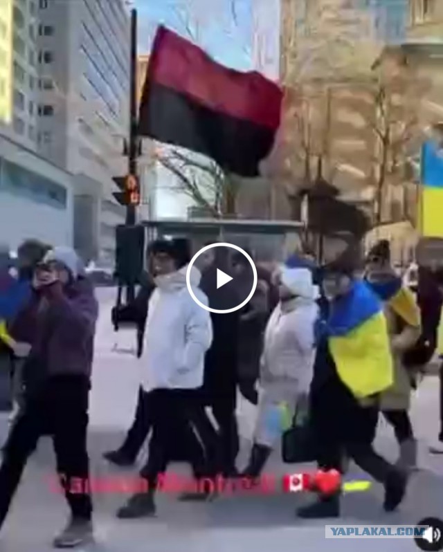 Канадская смена ЯПа вышла на митинг