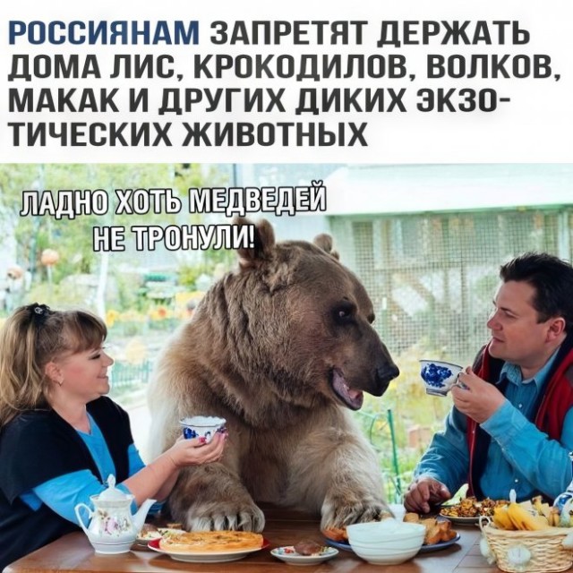 Веселые картинки в маленькую пятницу (09.04)