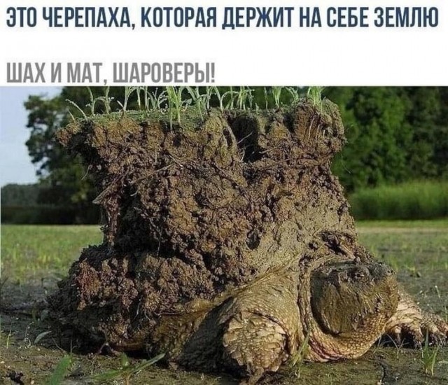 Нуштош 06.05.2025. Старая реальность (s3e12)