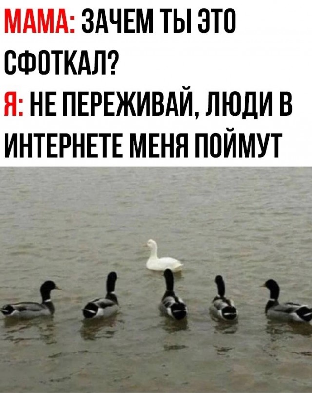 Завалялось тут случайно немного забавных картинок