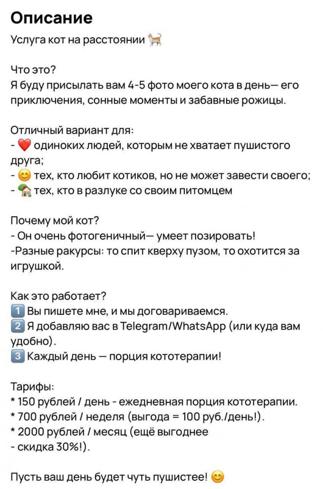 Казанцы начали предлагать услугу «Кот на расстоянии»