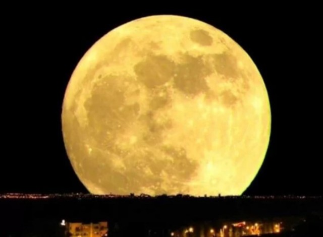 Программа BIOSAT: почему США быстро свернули полеты животных в космос.