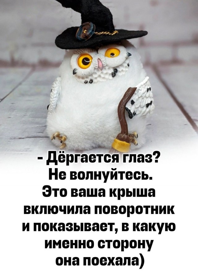 Прикольные и просто красивые картинки 06.01. 2026