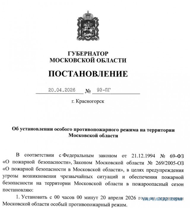Плохие питбайкеры остались в городе, а хорошие уехали в лес