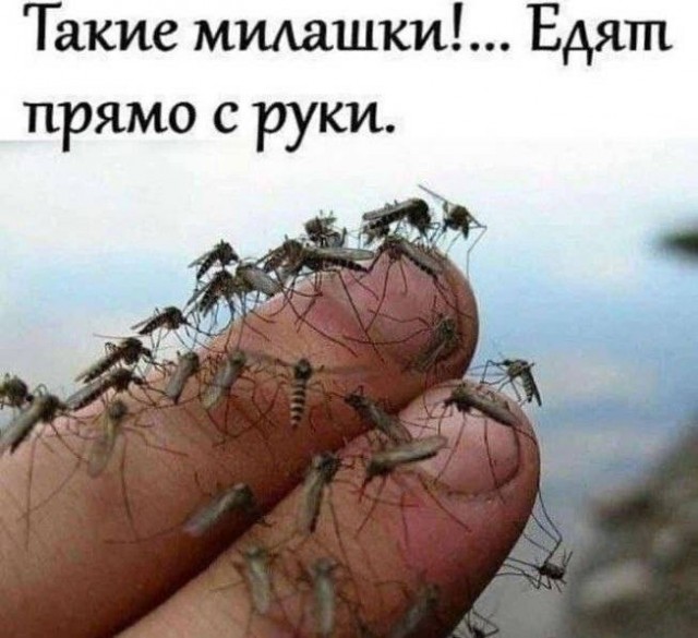 Картинки для деградации 222 (разной степени свежести)