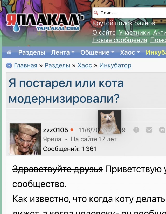 Я постарел или кота модернизировали?