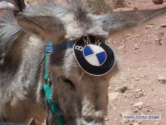 "Как я тебя узнаю?" - Я буду в голубом BMW