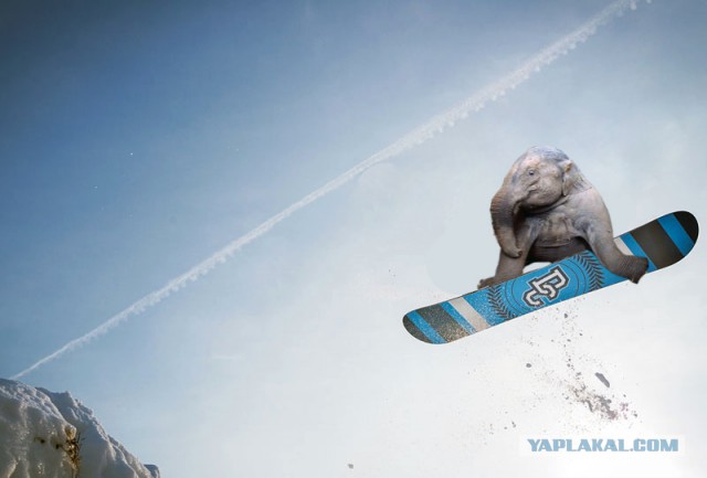 Zhaberbottle 5.0 – отборочный тур