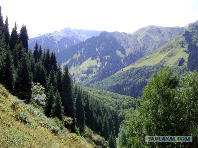 Деревенская Америка