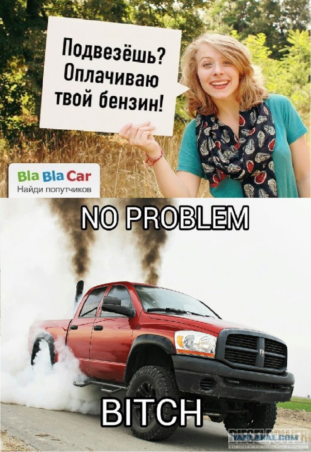 Ездить одному дорого и скучно! Возьми попутчицу!