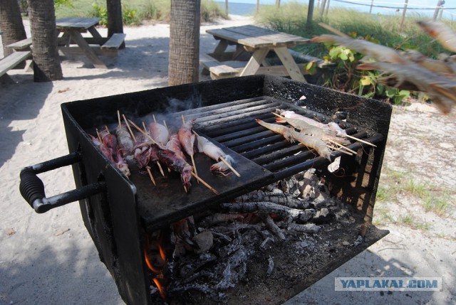 Каникулы во Флориде