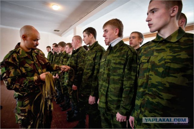 Всем зеленки!