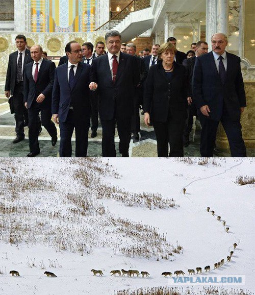 Почему Путин всегда идет последним?