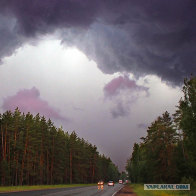 В ожидании грозы в Рязани ( 16.06.2015)