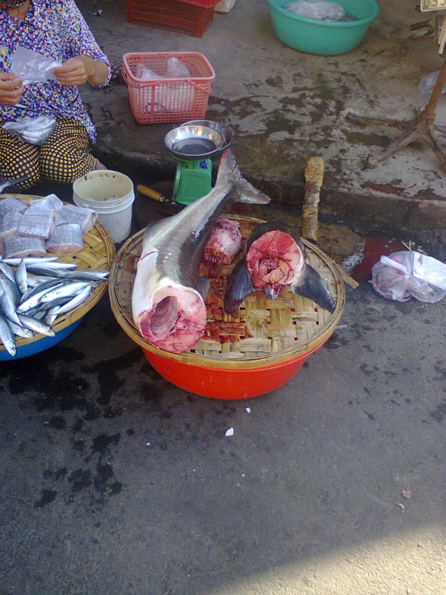 Việt Nam