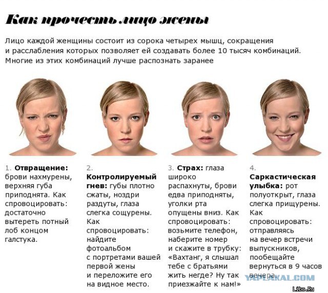 Просто попутчица