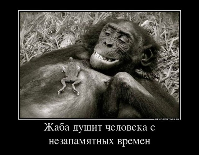 Награды для олимпийцев