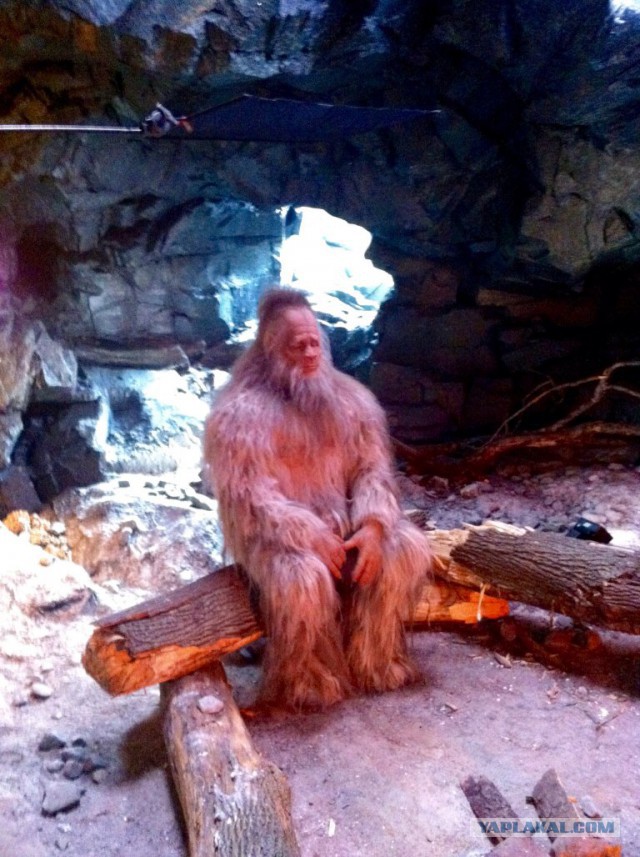 Должок