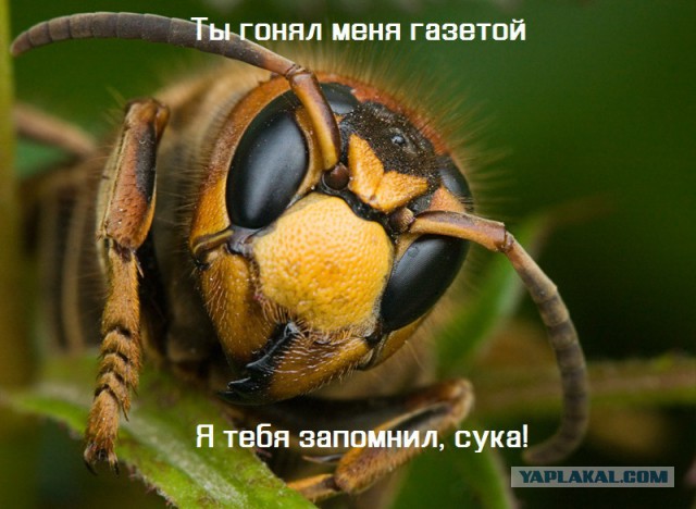 25 неожиданных фактов о нашей жизни