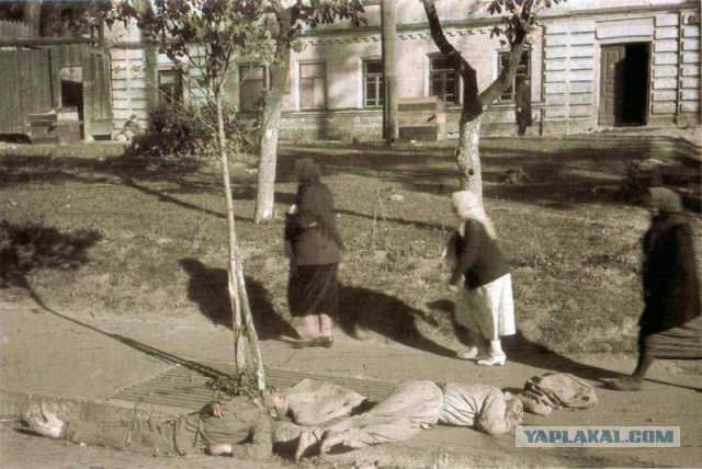 http://s00.yaplakal.com/pics/pics_preview/6/6/4/7606466.jpg