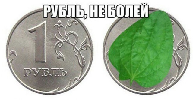 Что произошло с рублем? Видели?