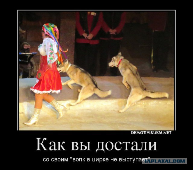 Картинки с этих ваших интернетов.