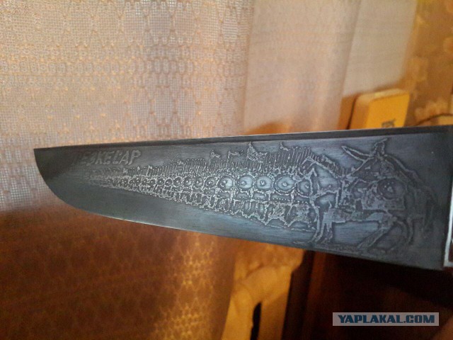 Продам Пчаки