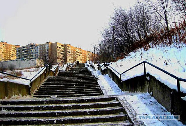 Канадец построил лестницу в парке за 550 долларов США после того, как город оценил 65 000 долларов