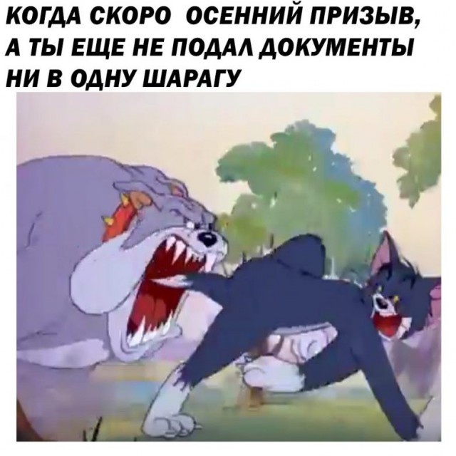 Приколы в стиле "Когда..."