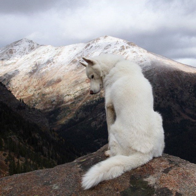 Подборка интересных и веселых картинок