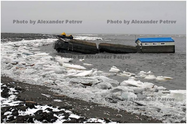 Автомобиль Выживания