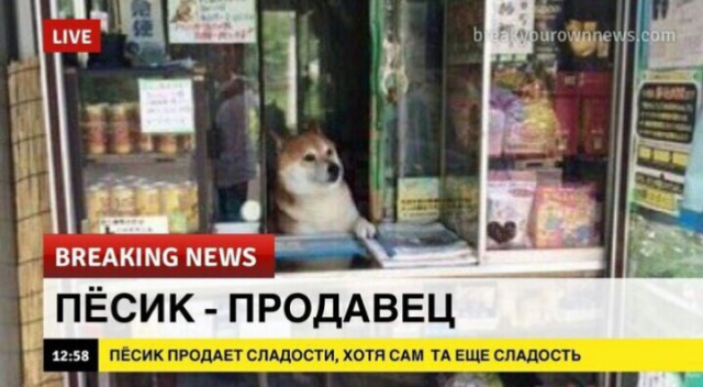 Нестандартный юмор