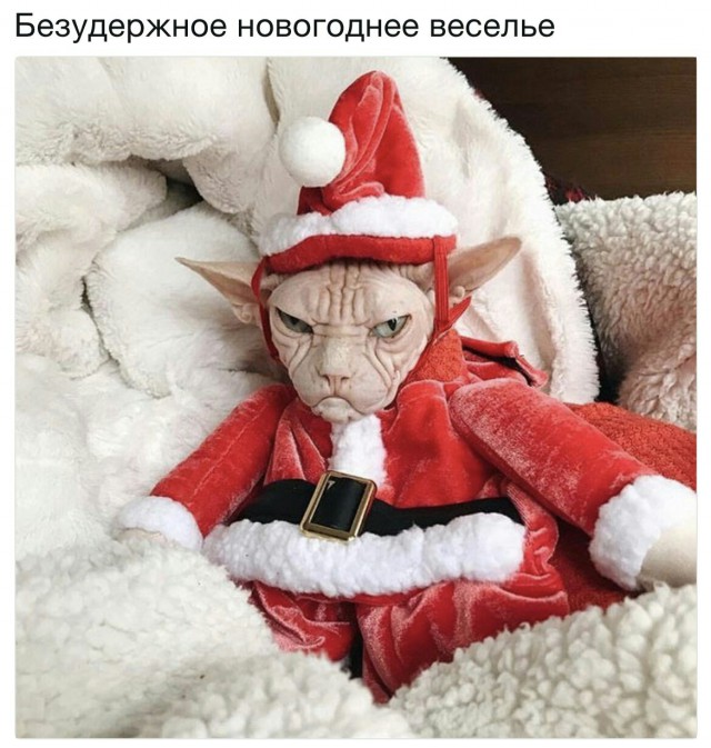 Немного милоты