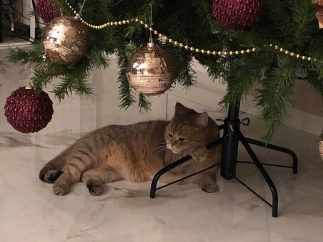Немного милоты