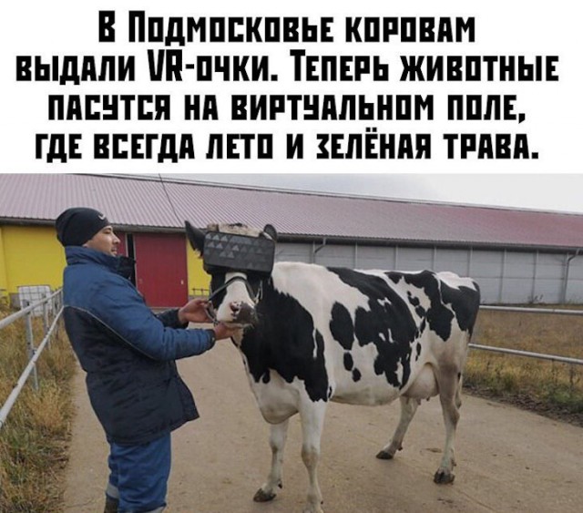 Немного картинок для настроения 28.11.19