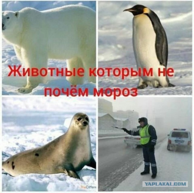 Бредзона 26.12.2019