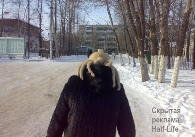 Вирусная реклама