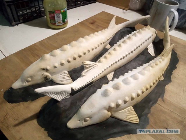 Изготовление декоративного панно "Осетровые"