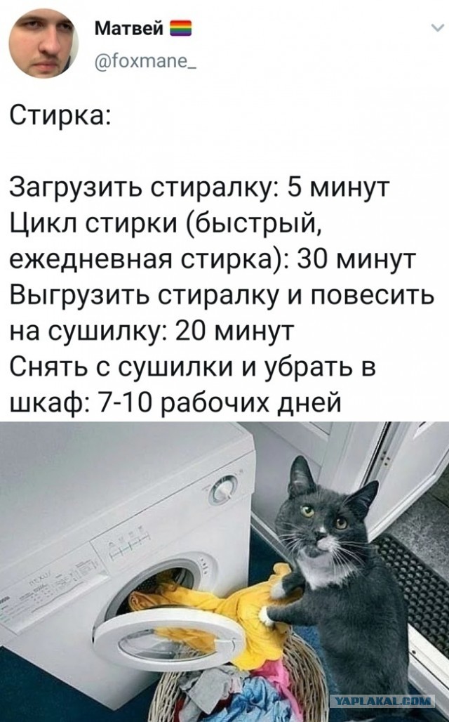Бредзона 01.07.20
