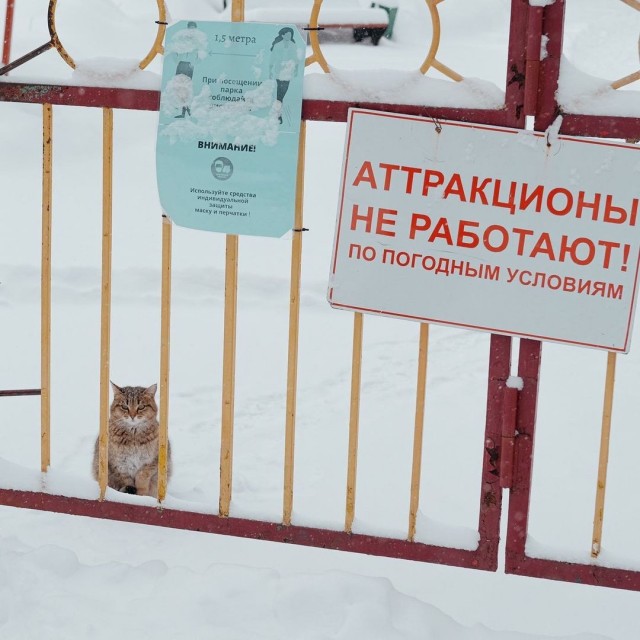 Жизнь городских окраин