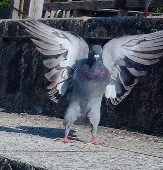 Картинки и мемы для настроения 28.07.2021