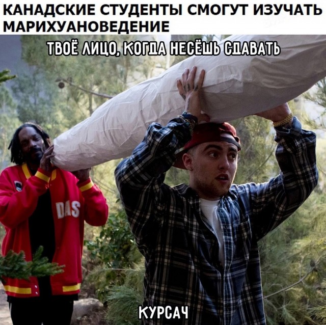 Так себе картинки 11.08.21