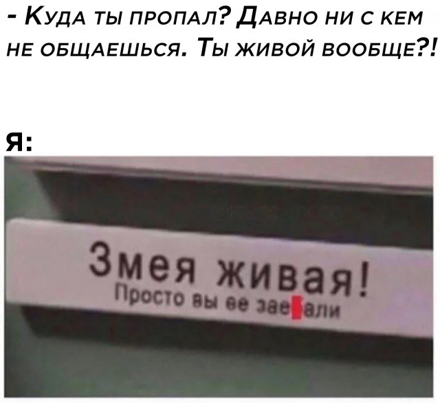 Кретинизмы из сети 18.08.2021