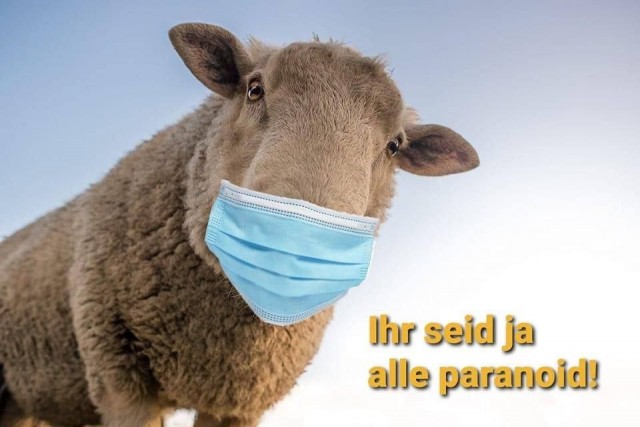 Так себе коронавирусные и не только картинки из Германии, часть 2