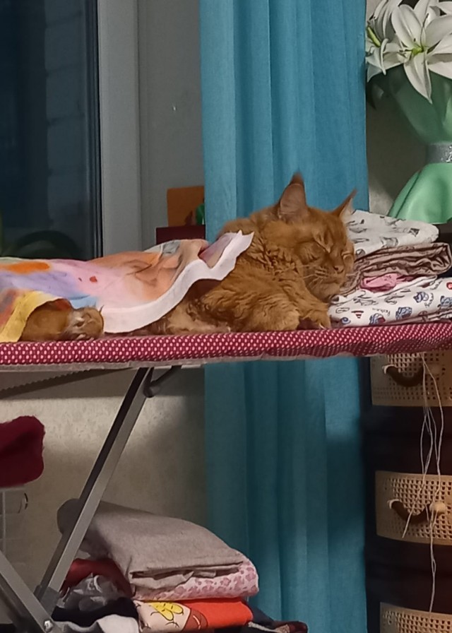 Котовторниковское