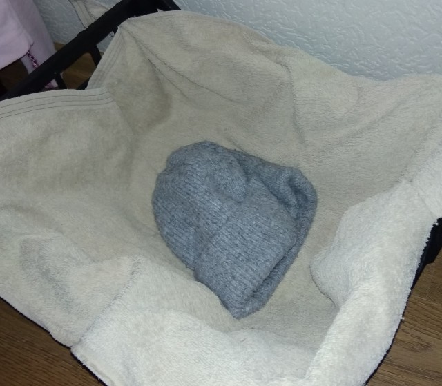 Наконец то дождался кАтАвтлрника