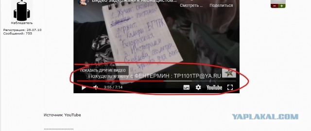 ФСБ опубликовала видео задержания неонацистов, планировавших убийство журналиста Соловьева